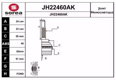 Шарнирный комплект (SNRA: JH22460AK)