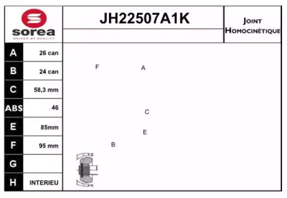 Шарнирный комплект (SNRA: JH22507A1K)