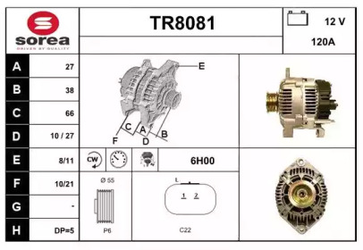 Генератор (SNRA: TR8081)