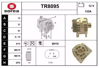 Генератор (SNRA: TR8095)