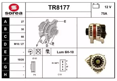 Генератор (SNRA: TR8177)