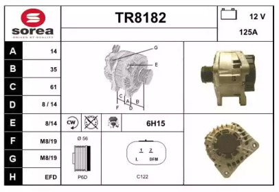 Генератор (SNRA: TR8182)