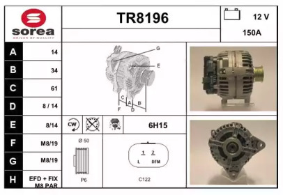 Генератор (SNRA: TR8196)