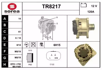 Генератор (SNRA: TR8217)