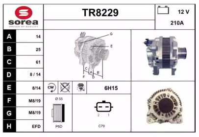 Генератор (SNRA: TR8229)