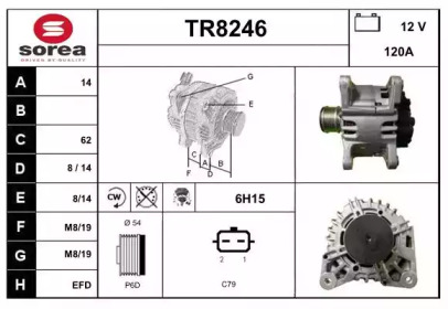 Генератор (SNRA: TR8246)