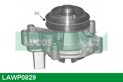 Насос (LUCAS ENGINE DRIVE: LAWP0829)