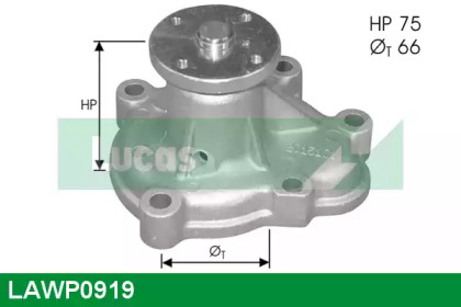 Насос (LUCAS ENGINE DRIVE: LAWP0919)