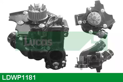 Насос (LUCAS ENGINE DRIVE: LDWP1181)