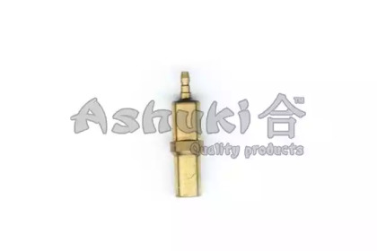 Датчик (ASHUKI: N021-01)