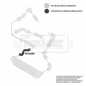 Шлангопровод (BORG & BECK: BTH1089)