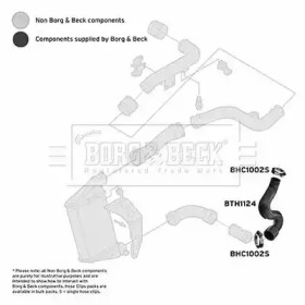 Шлангопровод (BORG & BECK: BTH1124)