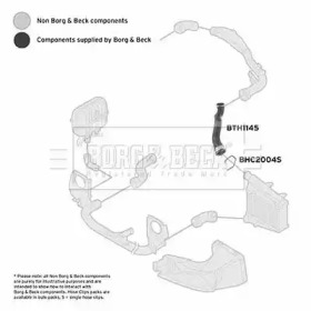 Шлангопровод (BORG & BECK: BTH1145)