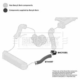 Шлангопровод (BORG & BECK: BTH1197)