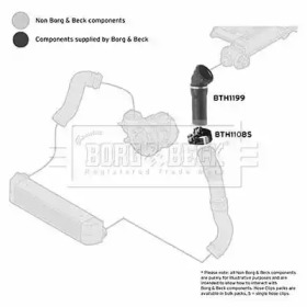 Шлангопровод (BORG & BECK: BTH1199)