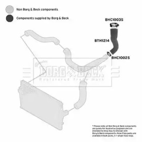 Шлангопровод (BORG & BECK: BTH1214)