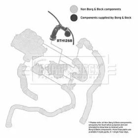 Шлангопровод (BORG & BECK: BTH1268)