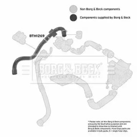 Шлангопровод (BORG & BECK: BTH1269)