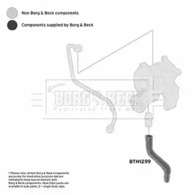 Шлангопровод (BORG & BECK: BTH1299)