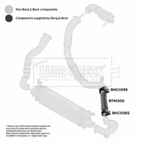 Шлангопровод (BORG & BECK: BTH1300)