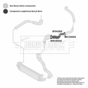 Шлангопровод (BORG & BECK: BTH1302)