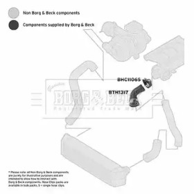 Шлангопровод (BORG & BECK: BTH1317)