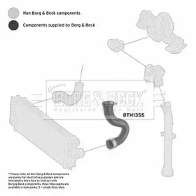 Шлангопровод (BORG & BECK: BTH1355)