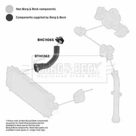 Шлангопровод (BORG & BECK: BTH1363)