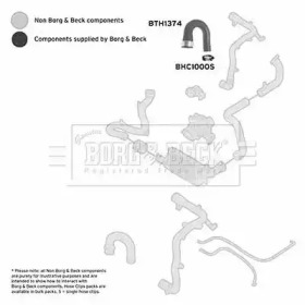 Шлангопровод (BORG & BECK: BTH1374)