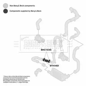 Шлангопровод (BORG & BECK: BTH1401)