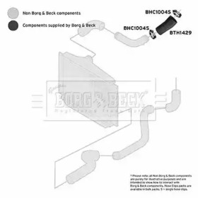 Шлангопровод (BORG & BECK: BTH1429)