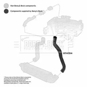 Шлангопровод (BORG & BECK: BTH1514)