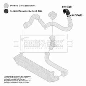 Шлангопровод (BORG & BECK: BTH1525)