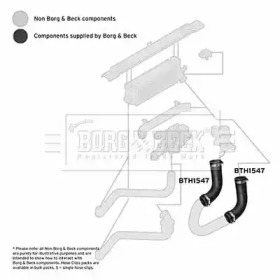 Шлангопровод (BORG & BECK: BTH1547)