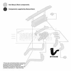 Шлангопровод (BORG & BECK: BTH1548)