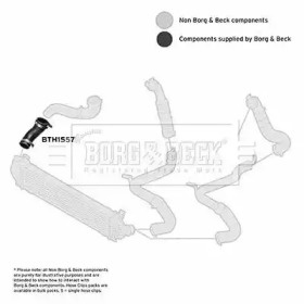 Шлангопровод (BORG & BECK: BTH1557)