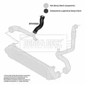 Шлангопровод (BORG & BECK: BTH1560)