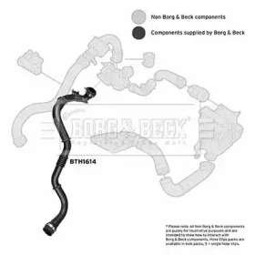 Шлангопровод (BORG & BECK: BTH1614)