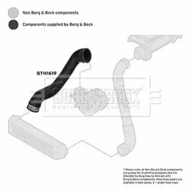 Шлангопровод (BORG & BECK: BTH1619)