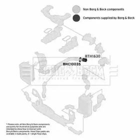 Шлангопровод (BORG & BECK: BTH1630)