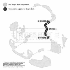 Шлангопровод (BORG & BECK: BTH1634)