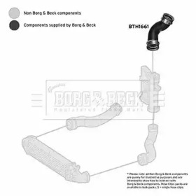 Шлангопровод (BORG & BECK: BTH1661)