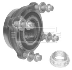 Комплект подшипника (BORG & BECK: BWK1049)