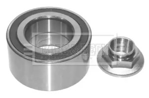Комплект подшипника (BORG & BECK: BWK876)