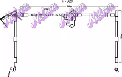 Шлангопровод (BROVEX-NELSON: H7920)