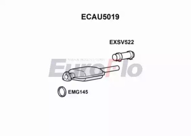 Катализатор (EuroFlo: ECAU5019)