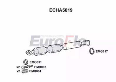 Катализатор (EuroFlo: ECHA5019)