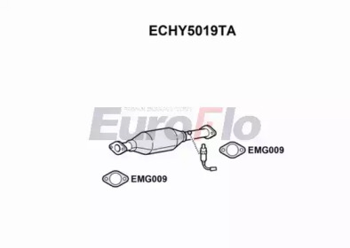 Катализатор (EuroFlo: ECHY5019TA)