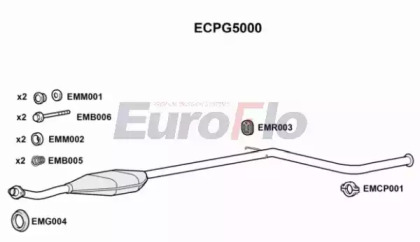 Катализатор (EuroFlo: ECPG5000)