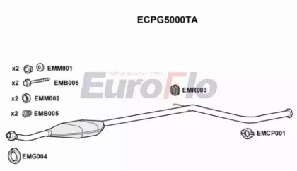 Катализатор (EuroFlo: ECPG5000TA)